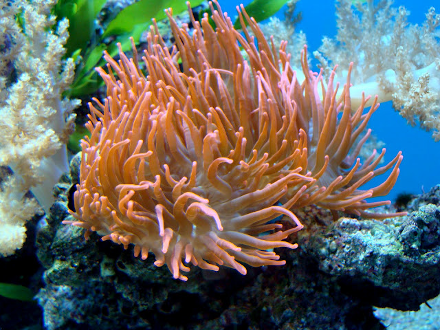 28.01.2012 Zoo Wroclaw