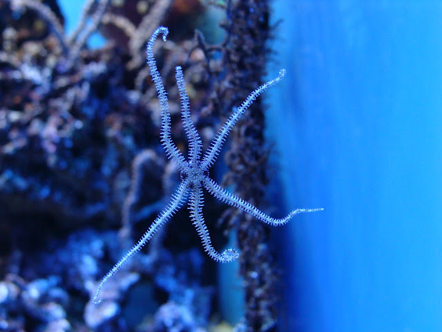 28.01.2012 Zoo Wroclaw