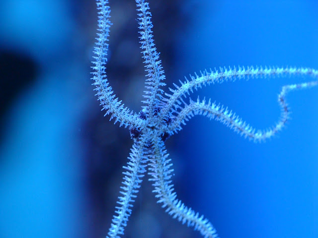 28.01.2012 Zoo Wroclaw