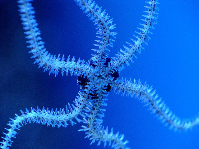 28.01.2012 Zoo Wroclaw