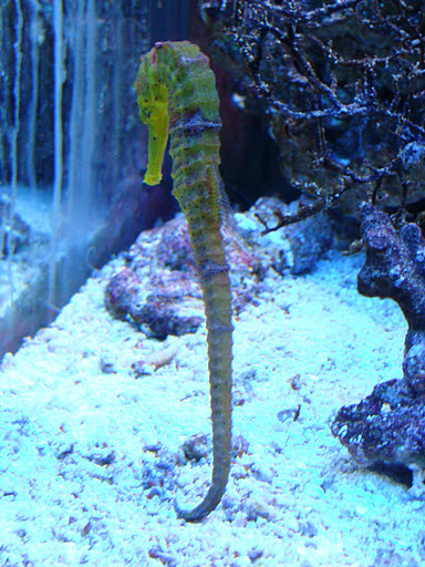 28.01.2012 Zoo Wroclaw