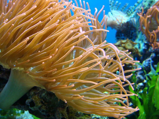 28.01.2012 Zoo Wroclaw