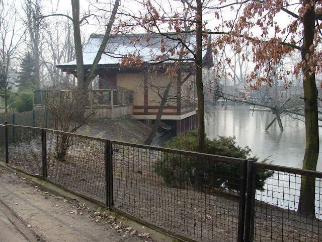 28.01.2012 Zoo Wroclaw