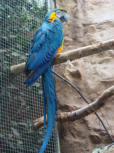 28.01.2012 Zoo Wroclaw