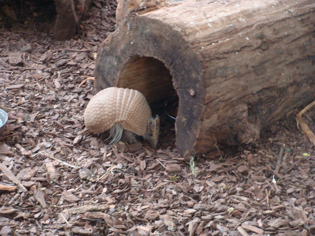 28.01.2012 Zoo Wroclaw