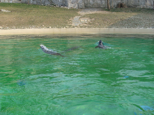 28.01.2012 Zoo Wroclaw