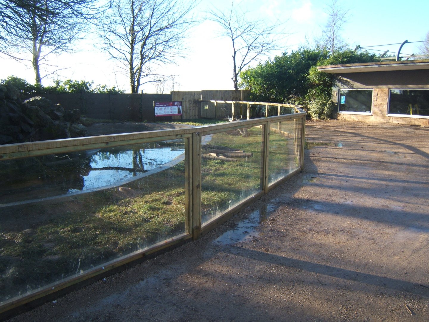 28/1/2017 view of the redone Asian Short-clawed Otter enclosure