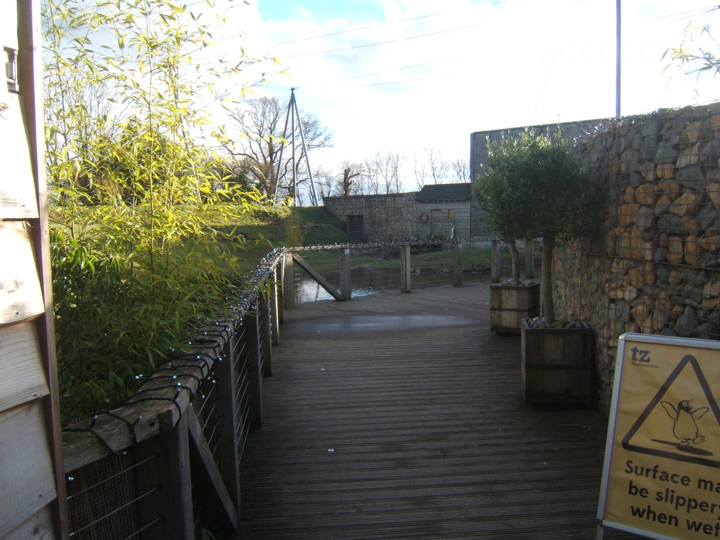 28/1/2017 View of what used to be a Aviary