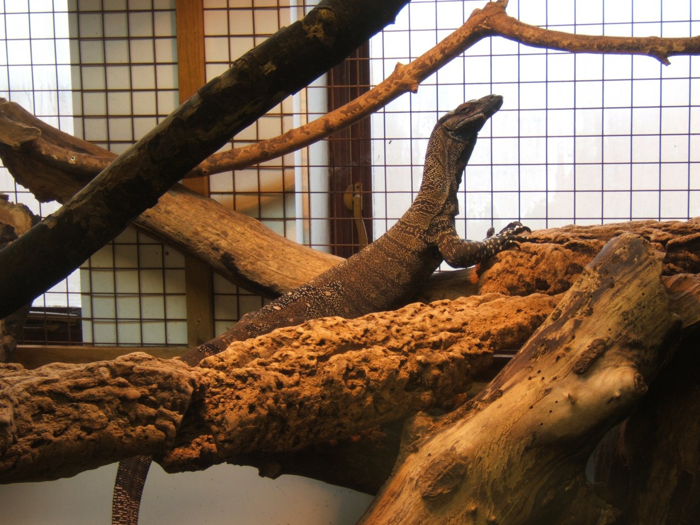 28/12/2016 Mangrove Monitor