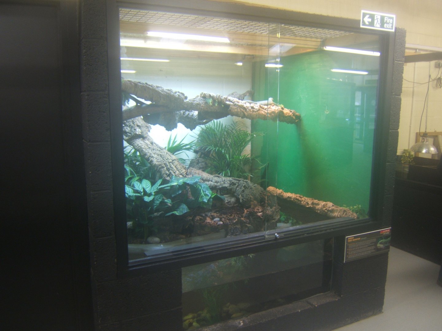 28/12/2016 view of Green Tree Monitor exhibit