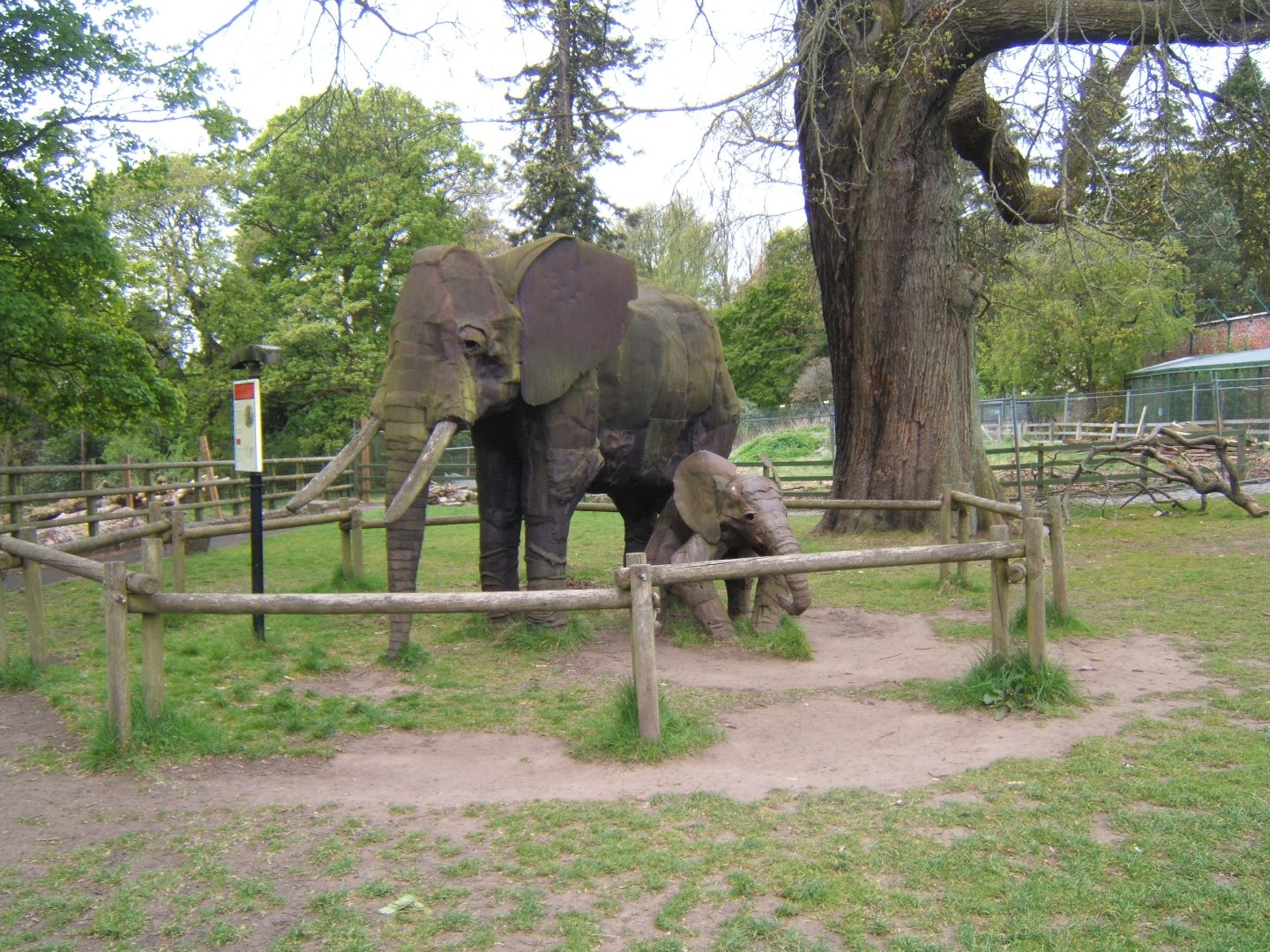 28/4/2017 Elephants