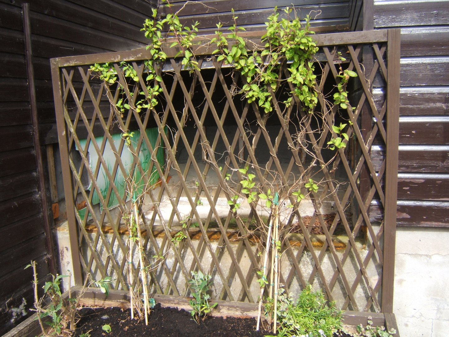 28/4/2017 Location of the former Reptile exhibit