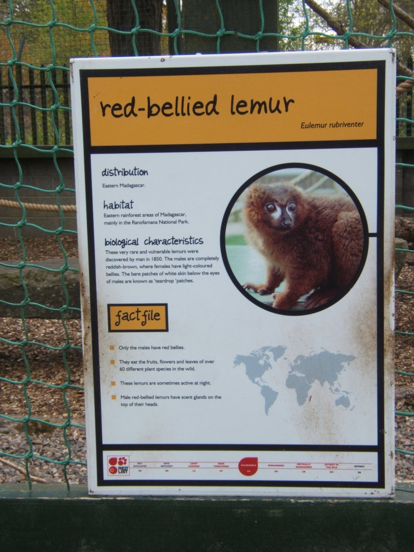 28/4/2017 Signage style