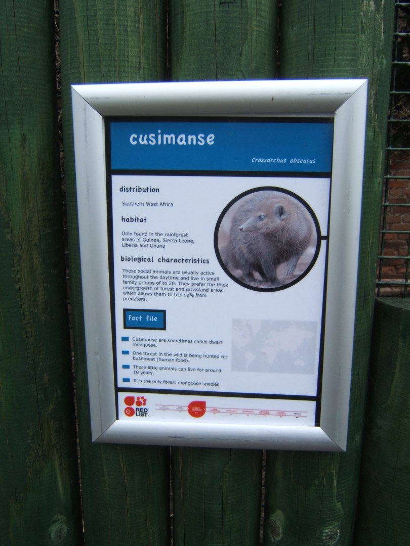 28/4/2017 Signage style