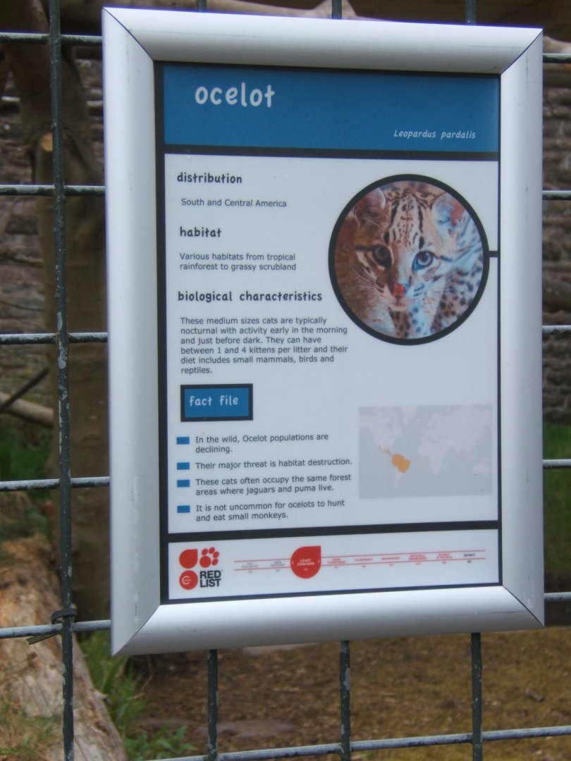 28/4/2017 Signage style