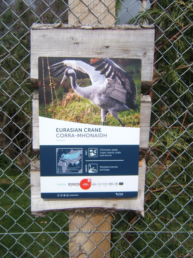 28/4/2017 Signage style