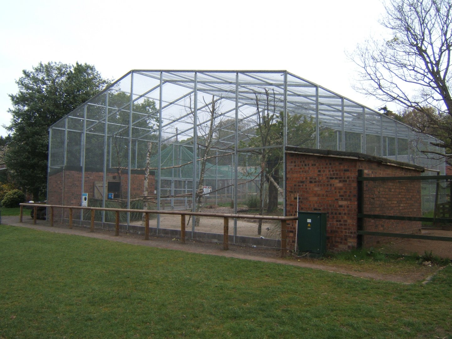 28/4/2017 View of Hyacinth Macaw Aviary