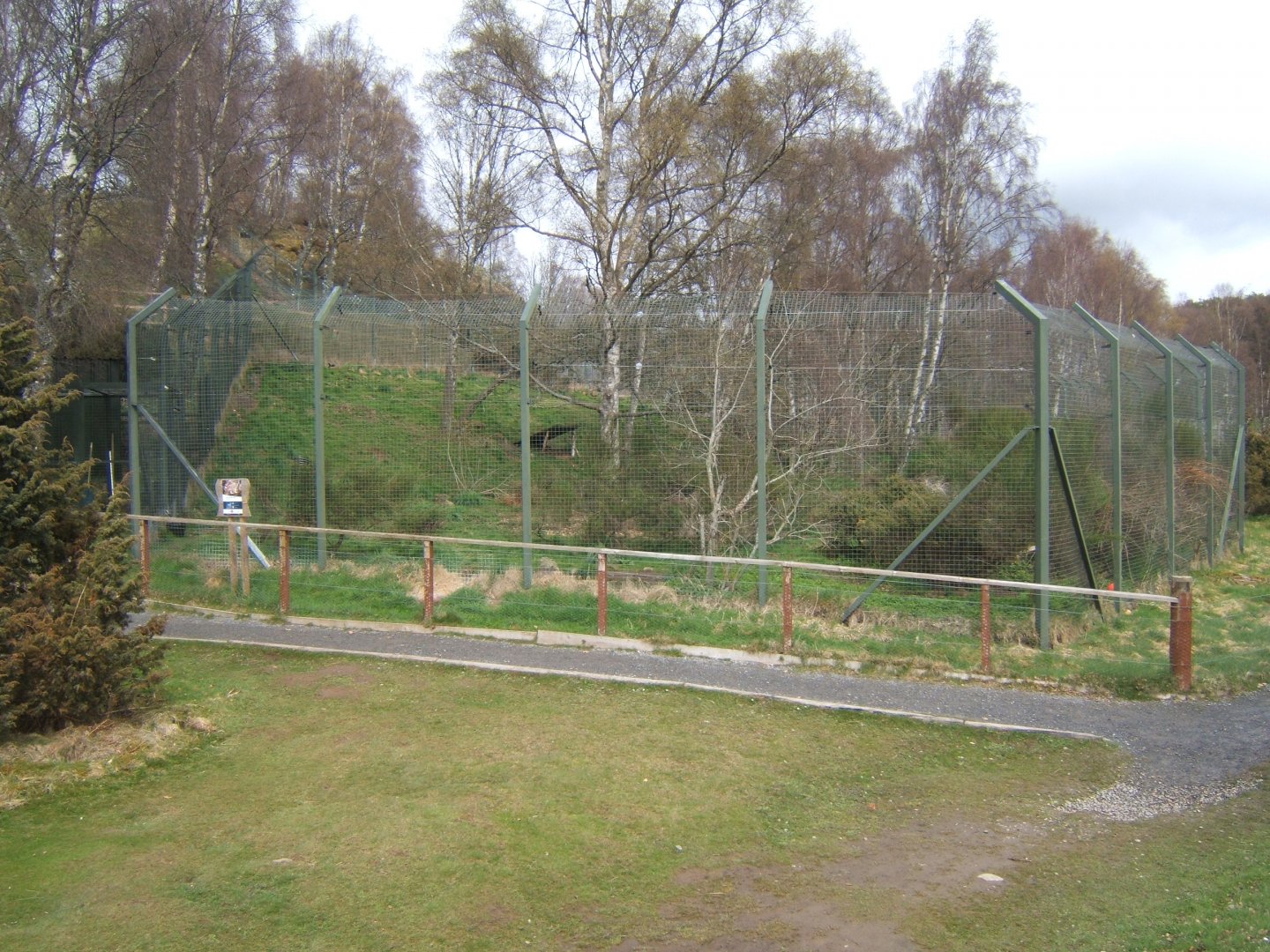 28/4/2017 View of Lynx enclosure