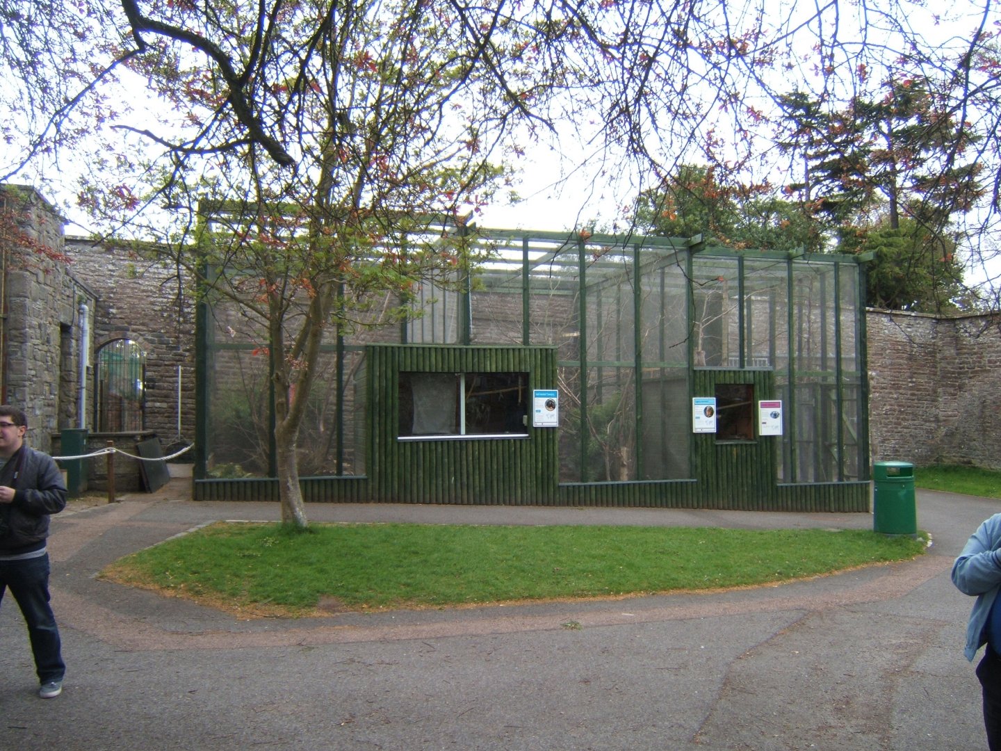 28/4/2017 View of Marmoset and Tamarin enclosures