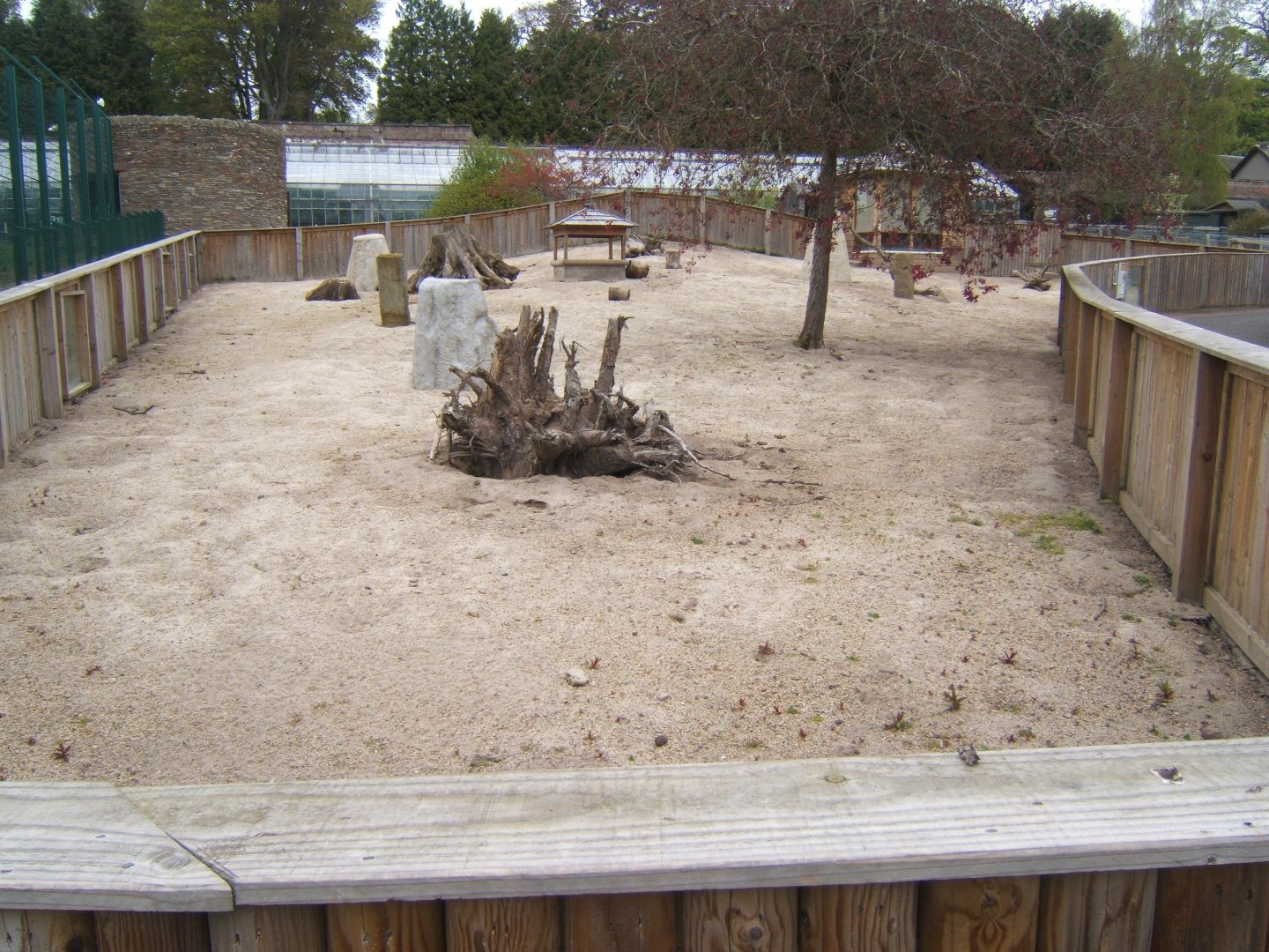 28/4/2017 View of Meerkat enclosure