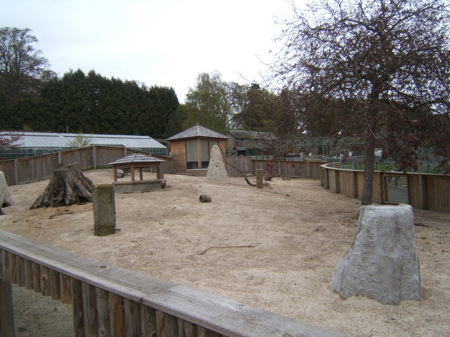 28/4/2017 View of Meerkat enclosure