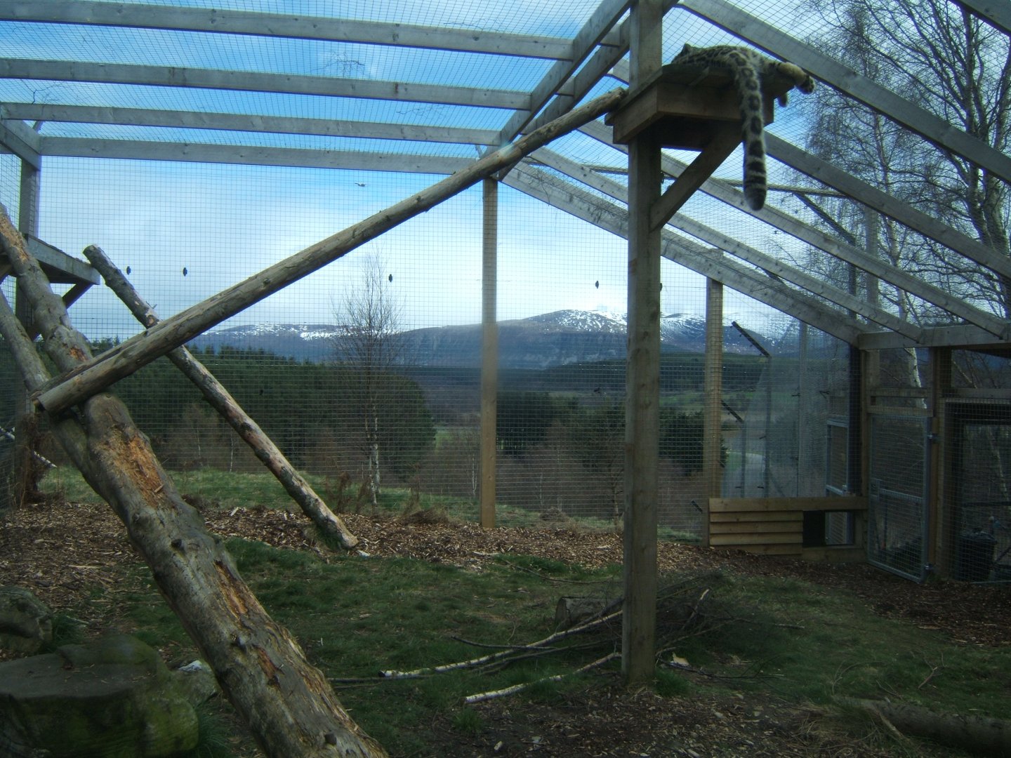 28/4/2017 View of part of the Snow Leopard enclosure