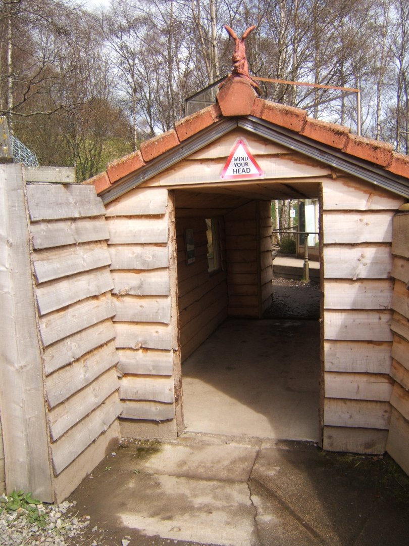 28/4/2017 View of Red Panda enclosure