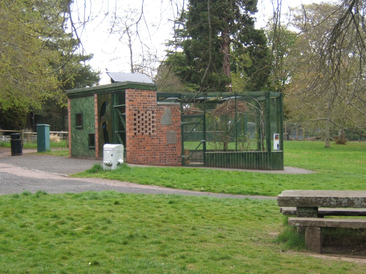 28/4/2017 View of Rothschilds Grackle enclosure