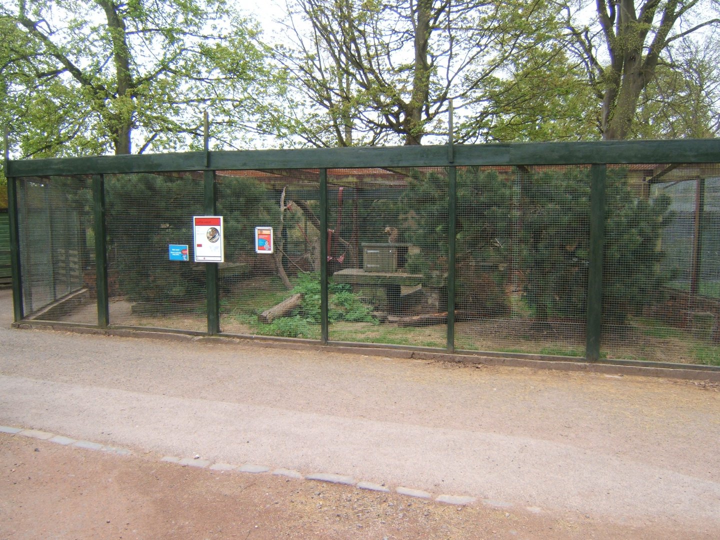 28/4/2017 View of Scottish Wildcat enclosure