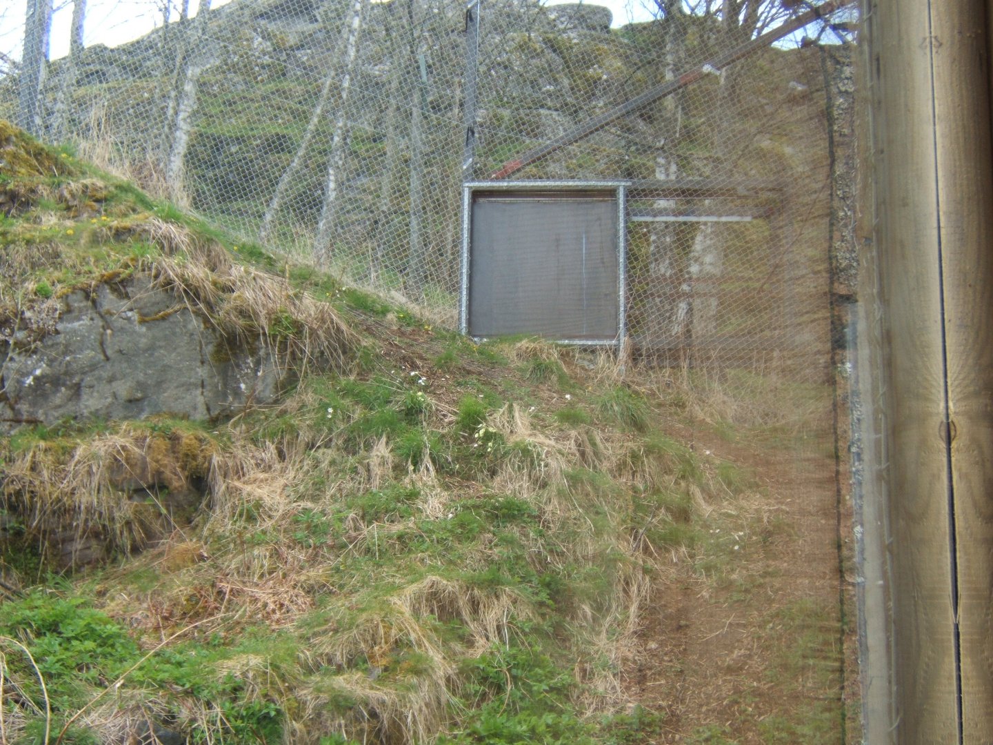 28/4/2017 View of the door used to let the Markhor into the Snow Leopard enclosure