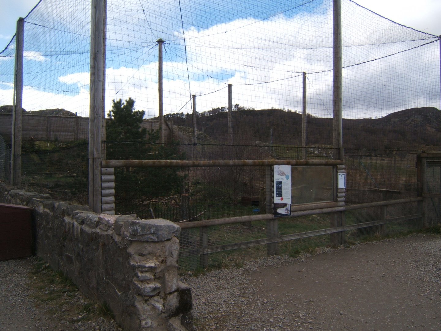 28/4/2017 View of the Snowy Owl aviary