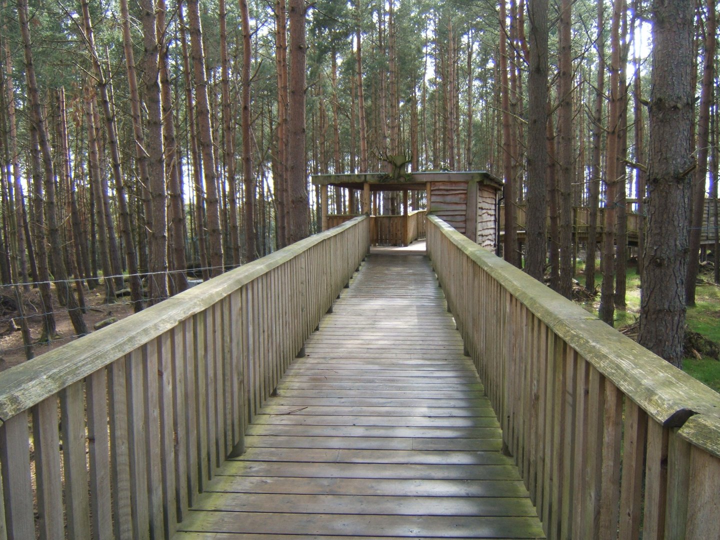 28/4/2017 View towards the Forest Reindeer viewing