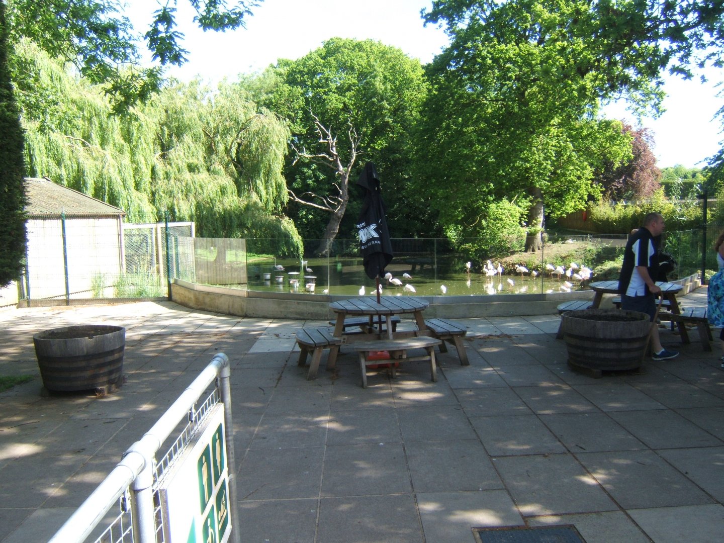 28/5/2017 New Flamingo viewing area