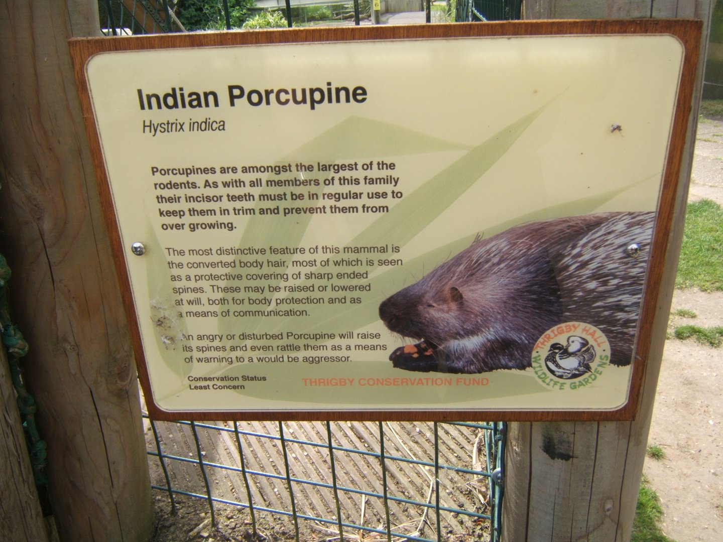 28/5/2017 Signage style