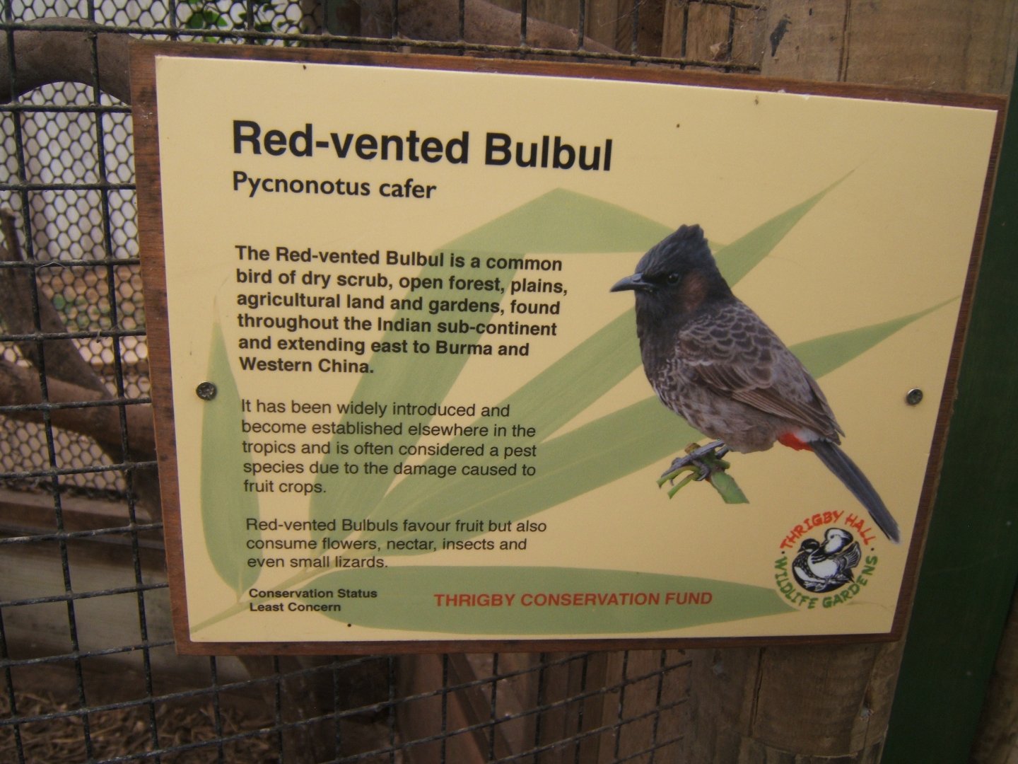 28/5/2017 Signage style