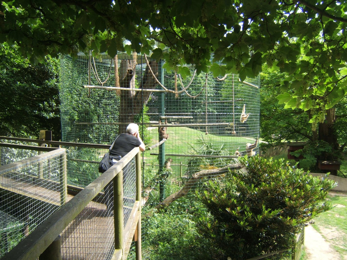 28/5/2017 View from raised walk way