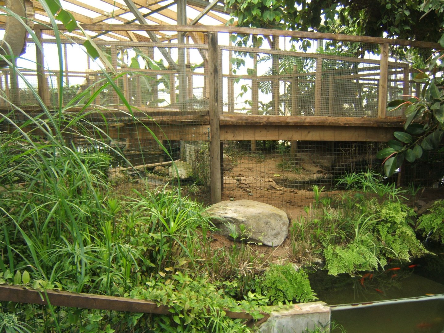 28/5/2017 View inside Crocodile House