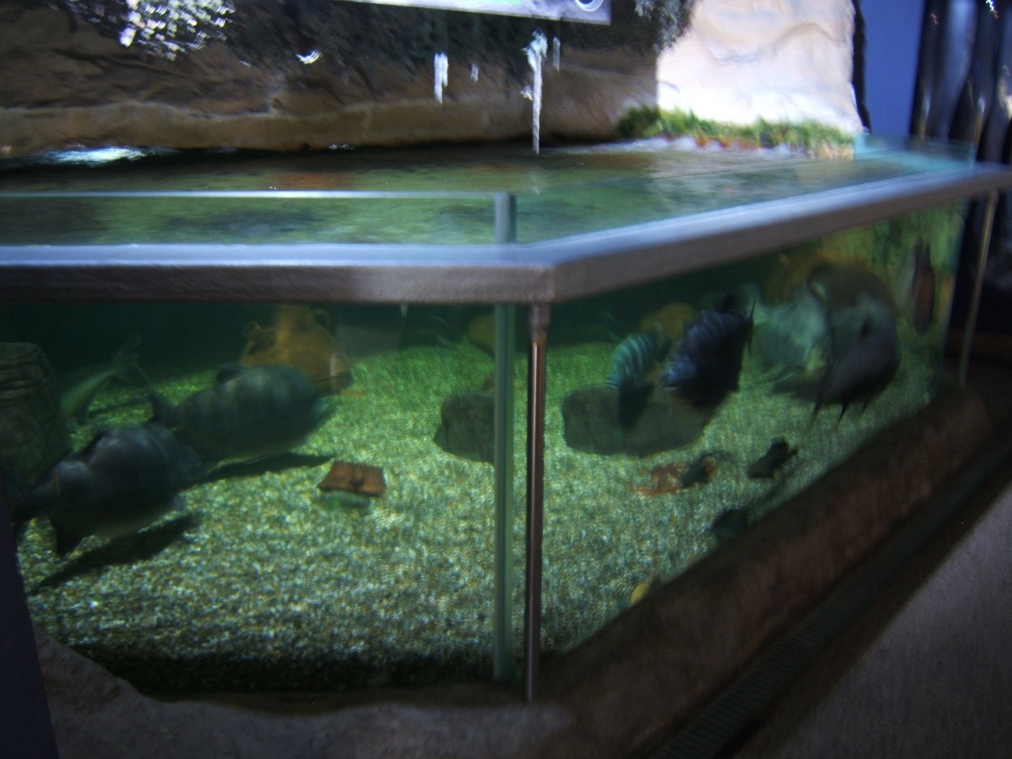 28/5/2017 View of Amazon Tank