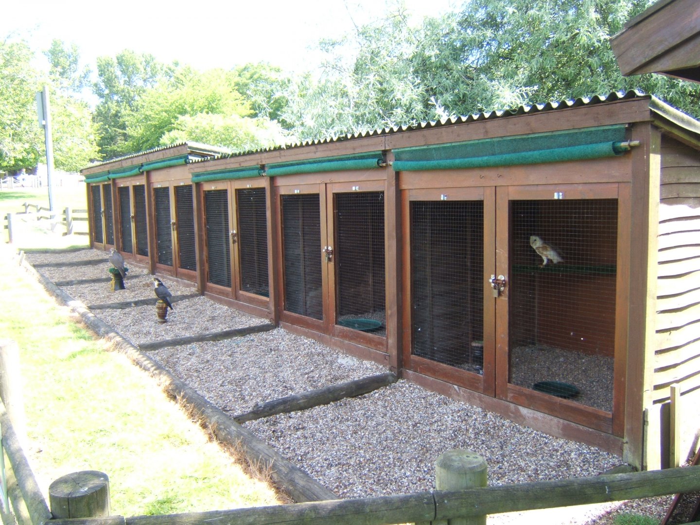 28/5/2017 View of Bird of Prey Mews