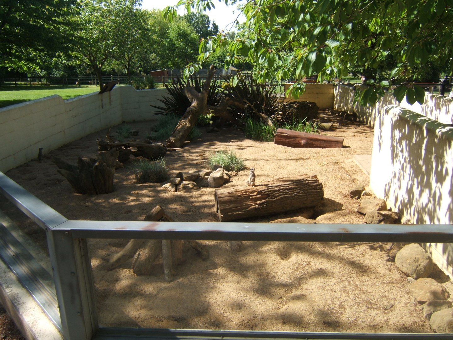 28/5/2017 View of Meerkat enclosure