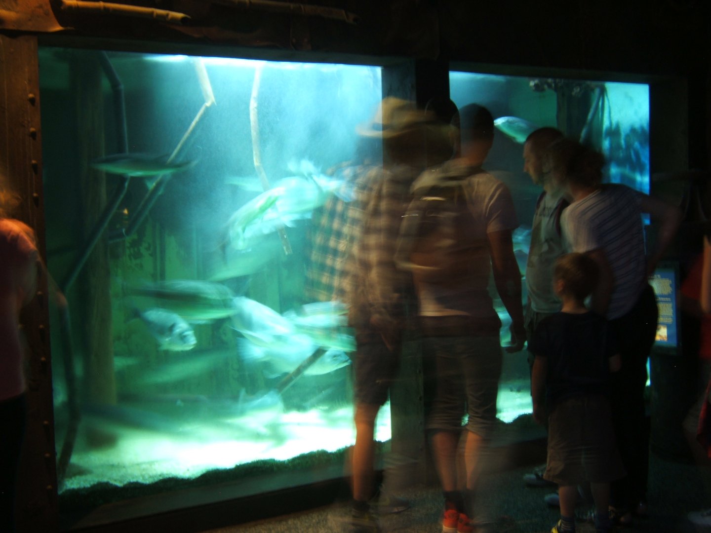 28/5/2017 View of Native Tank