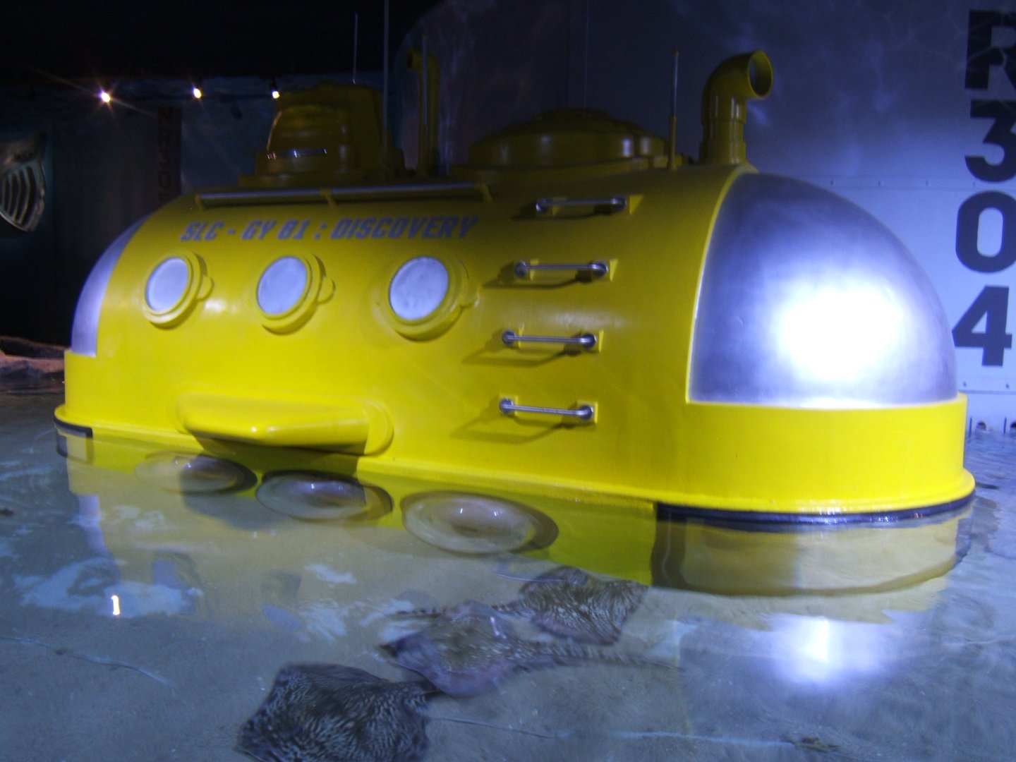 28/5/2017 View of Ray Tank with Yellow Submarine