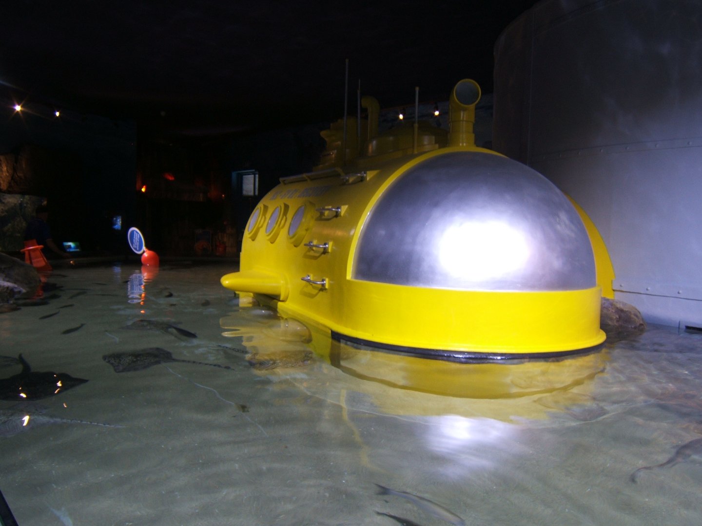 28/5/2017 View of Ray Tank with Yellow Submarine