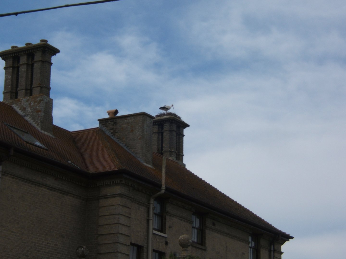 28/5/2017 White Stork on top of Thrigby Hall