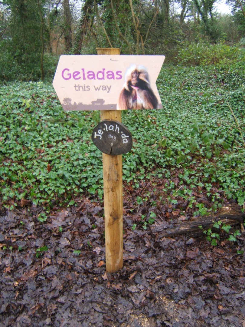 29/1/2017 Direction signage