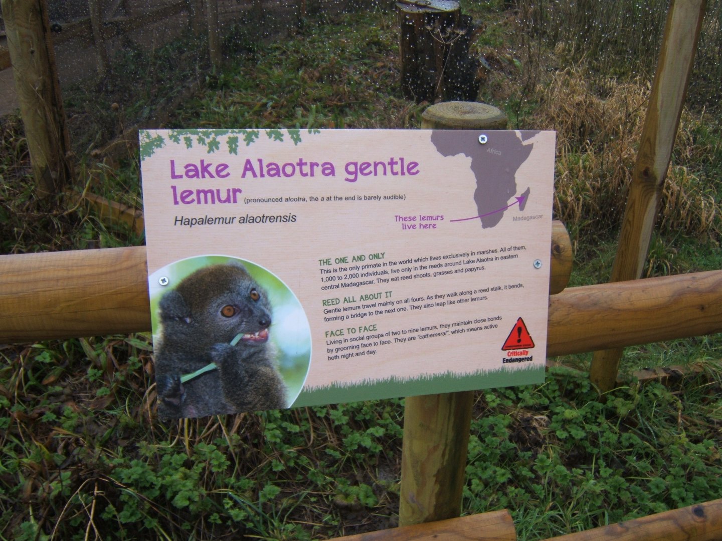 29/1/2017 Signage style