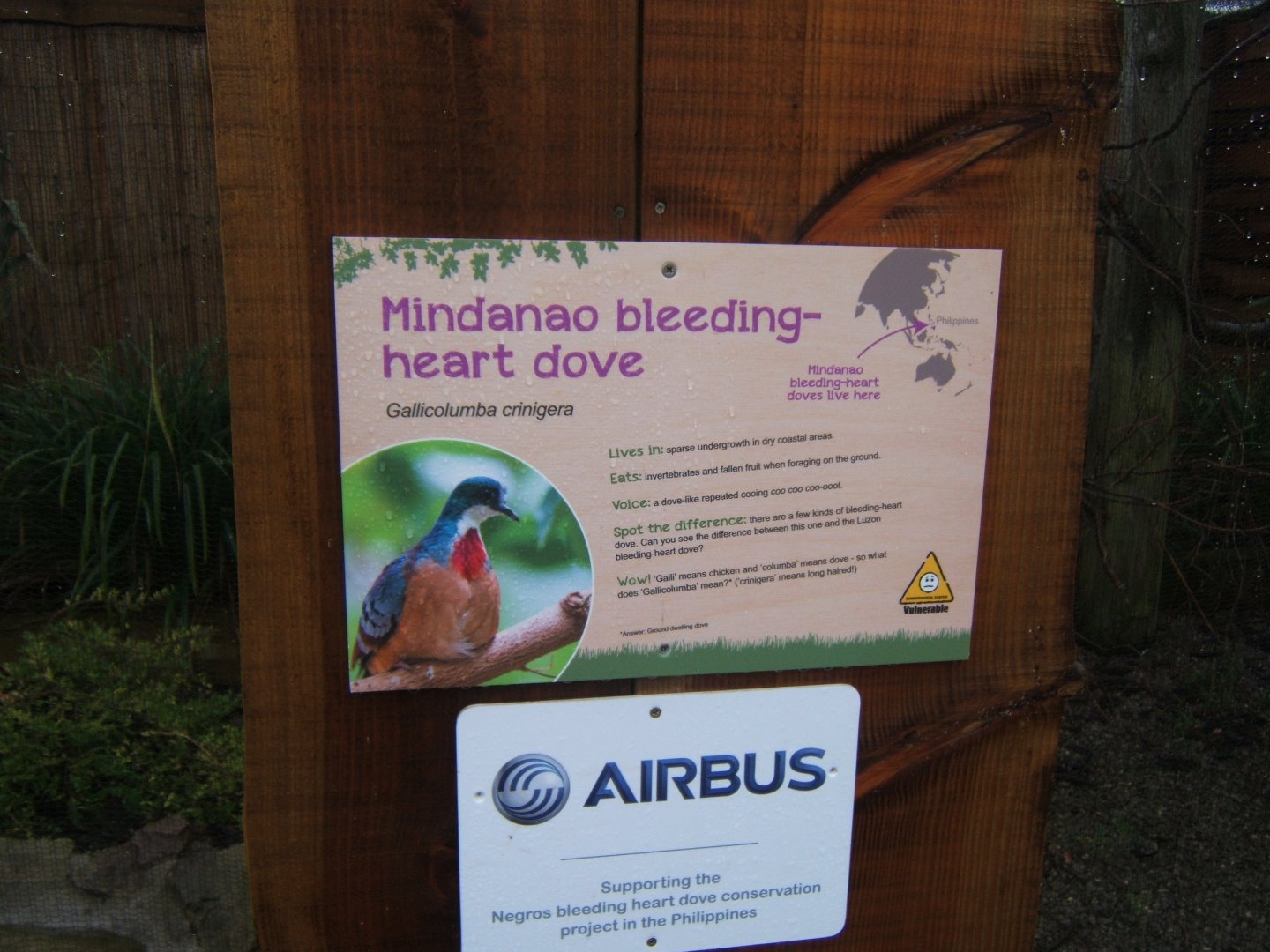 29/1/2017 Signage style