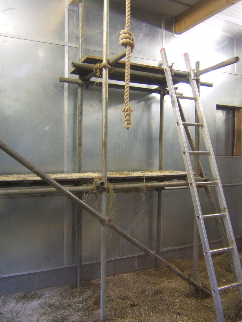 29/1/2017 View inside part of the Gelada house