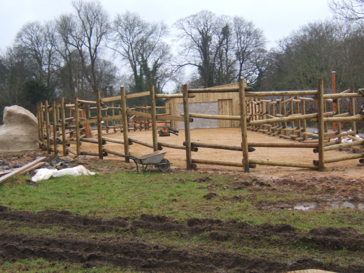 29/1/2017 View of Eland and Zebra stalls and hard standing