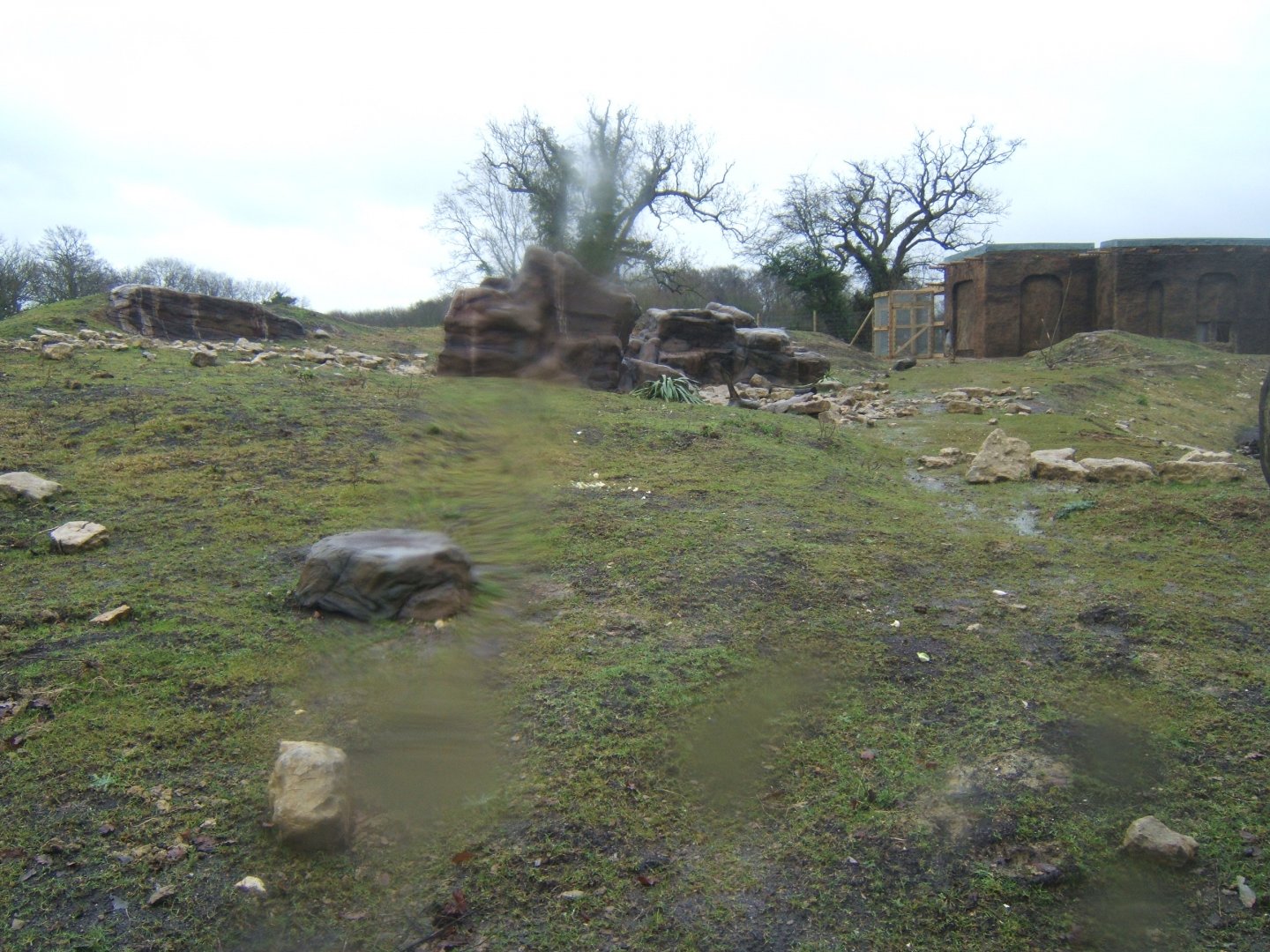 29/1/2017 View of Gelada exhibit from inside viewing hut